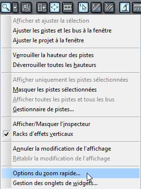 options de zoom rapide